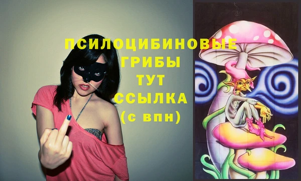 mdpv Лиски
